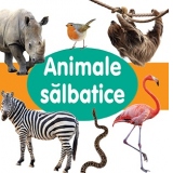 Animale salbatice (cartonata)