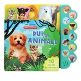 Bebe invata. Pui de animale. Carte cu sunete