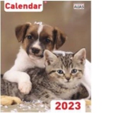 Calendar de perete 2023 Caini si pisici (A4) 16 F