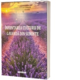 Infiintarea culturii de lavanda din seminte