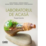 Laboratorul de acasa. Experimente