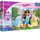 Puzzle Trefl Primo Super Shape XXL 104 piese - Printesele Disney in gradina