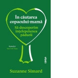 In cautarea copacului-mama. Sa descoperim intelepciunea padurii