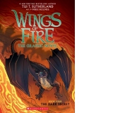 The Dark Secret (Wings of Fire Graphic Novel #4)