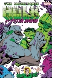 Incredible Hulk By Peter David Omnibus Vol. 2