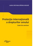 Protectia internationala a drepturilor omului. Caiet de seminar