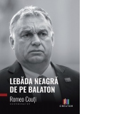 Lebada neagra de pe Balaton