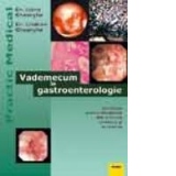 Vademecum In Gastroenterologie