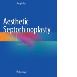 Aesthetic Septorhinoplasty