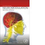 Essential Neuromodulation