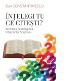 Intelegi tu ce citesti? Meditatii pe marginea intrebarilor Scripturii