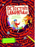 Detectivii labirintului si enigmatica pasare Phoenix