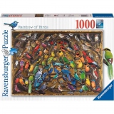 Puzzle Curcubeu De Pasari, 1000 Piese