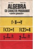 Algebra cu caracter programat - Pentru gimnaziu