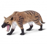 Hyaenodon