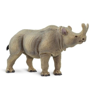 Megacerops