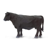 Vaca Angus