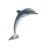 Delfin