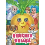 Ochisori. Ridichea uriasa