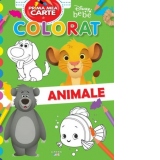 Disney bebe. Prima mea carte de colorat. Animale