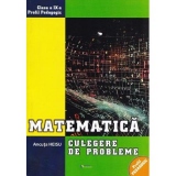 Matematica. Clasa a IX-a, profil pedagogic. Culegere de probleme