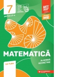 Matematica. Algebra, geometrie. Clasa a VII-a, partea a II-a. Mate 2000 - Initiere