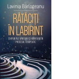 Rataciti in labirint. Chipuri ale bantuirii si mantuirii in procesul terapeutic