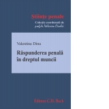 Raspunderea penala in dreptul muncii