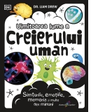 Uimitoarea lume a creierului uman