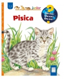 Pisica