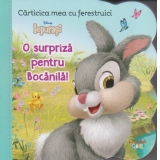 Disney Iepurasi. Carticica mea cu ferestruici. O surpriza pentru Bocanila