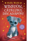 Winston, catelusul din adapost