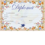 Diploma D2 2024