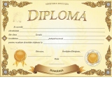 Diploma D5 2024