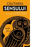 Cautarea Sensului. Chemarea Sinelui si redefinirea Centrului Interior