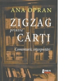 Zigzag printre carti. Comentarii, interpretari