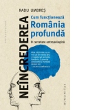 Neincrederea. Cum functioneaza Romania profunda. O cercetare antropologica