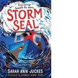 Storm Seal : A seaside story of family and hope