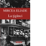 La tiganci