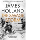 The Savage Storm : The Brutal Battle for Italy 1943
