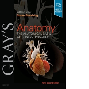 Gray's Anatomy : The Anatomical Basis of Clinical Practice