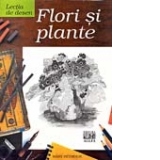 LECTIA DE DESEN. FLORI SI PLANTE