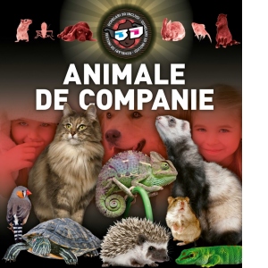 Animale de companie 3D