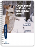 Codul penal si Codul de procedura penala (actualizate la 20 septembrie 2024)