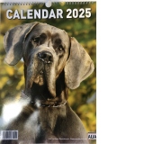 Calendar de perete - Caini (12+1 file) 2025