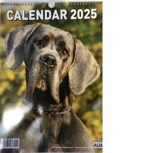 Calendar de perete - Caini (12+1 file) 2025