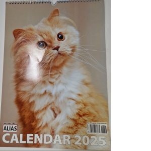 Vezi detalii pentru Calendar de perete - Pisici (12+1 file) 2025