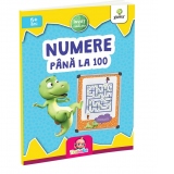 Numere pana la 100