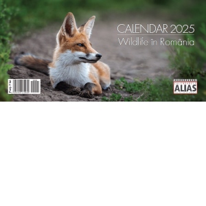 Calendar de birou Wildlife 2025