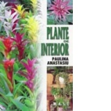 Plante de interior